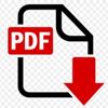 IconPDF100